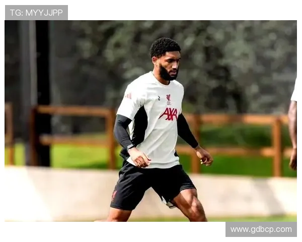 弗林蓬盼下赛季摆脱伤病助力胜利